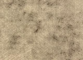 Фото - Ткани Galleria Arben Bernini - 413155>