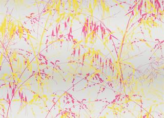 Фото - Обои Harlequin Callista Wallpapers - 301314>