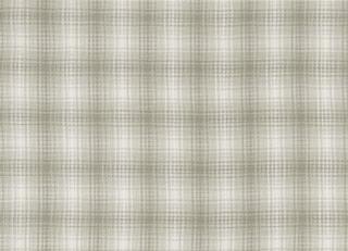 Фото - Ткани Clarke&Clarke Matador - 329524>