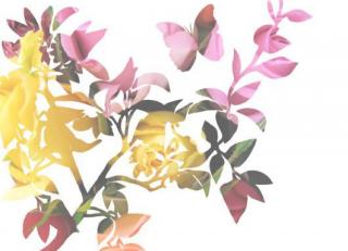 Фото - Обои Mr Perswall Creativity & Photo Art - 235056>