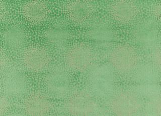 Фото - Ткани Villa Nova Folium - 268931>