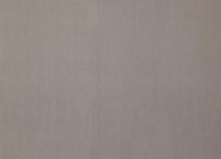 Фото - Ткани Дом CARO Plushery - 533203>