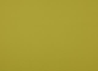 Фото - Ткани Manuel Canovas Vogue - 567805>