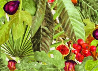 Фото - Обои Coordonne Metamorphosis - 505968>