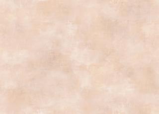 Фото - Обои Jannelli & Volpi JV902 Genesi - 439712>