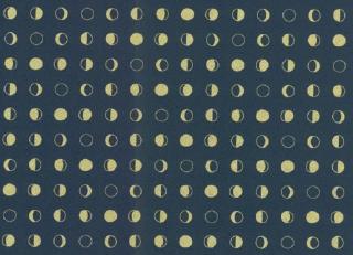 Фото - Обои York Wallcoverings Culture Club - 443506>