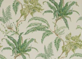 Фото - Обои Colefax and Fowler - 570366>