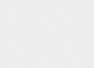 Фото - Обои The Trendsetter Studio Nouvel - 495938>