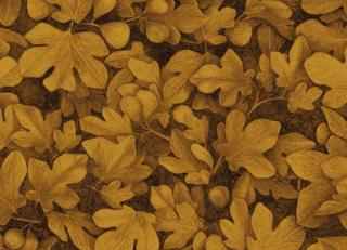 Фото - Обои Khroma Kent - 458875>