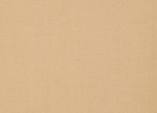 Фото - Ткани Holland & Sherry Bespoke Twill - 632510>