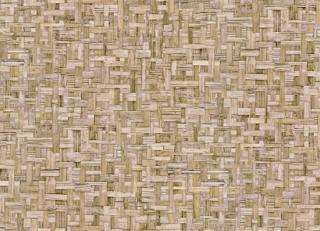 Фото - Обои Architects Paper Jungle Chic - 539947>