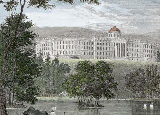 Фото - Обои Faboie Whispering In The Jungle - 622306>