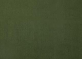 Фото - Ткани Дом CARO Plushery - 533216>