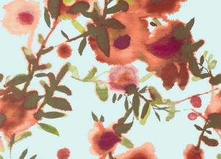 Фото - Обои Thibaut Summer House - 339851>