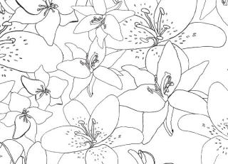 Фото - Обои Wall&Deco Big Brand - 199803>