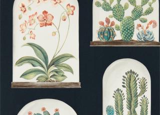 Фото - Обои Sanderson Glasshouse - 410807>