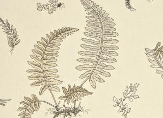 Фото - Обои G.P. and J.Baker Larkhill - 212438>