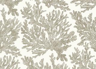 Фото - Обои Thibaut Tropics - 442627>