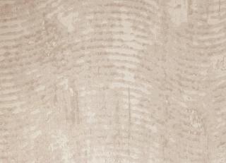 Фото - Обои для стен Vatos - 397989>