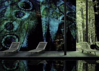 Фото - Обои Glamora Nature - 400945>