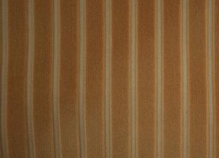 Фото - Ткани Foresti Home Collection Velluto a coste larghe - 563318>