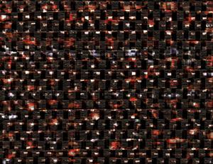 Фото - Обои Elitis Equateur - 340491>