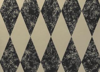 Фото - Обои Clarke&Clarke Colony Wallcoverings - 305071>