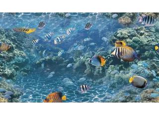 Фото - Обои Shinhan Natural  - 554965>