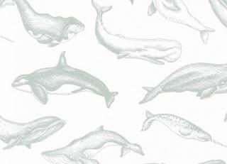 Фото - Обои Caselio Sea You Soon - 522564>