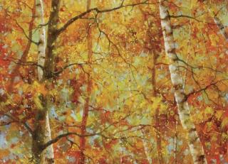 Фото - Обои Ortograf Сергей Боев - 479604>