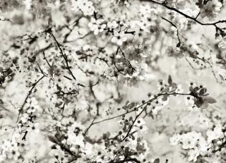 Фото - Обои Jean Paul Gaultier Voyages Voyages Papiers - 381189>