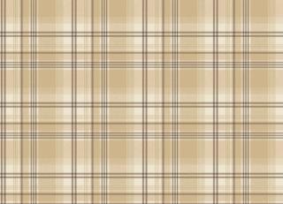 Фото - Обои Aura Gourmet Tour II - 367866>