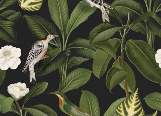 Фото - Обои Coordonne Feria - 559082>