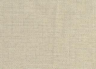 Фото - Обои Sirpi Forest - 454598>