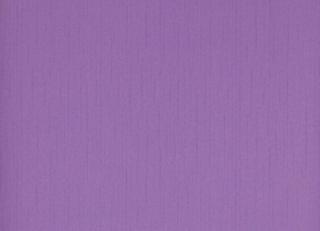 Фото - Обои Sandudd Rolleri 7 - 422384>