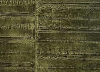 Фото - Обои Elitis Anguille Big croco Legend - 469459>