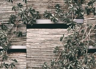 Фото - Обои Wall&Deco CODE 2020 WET SYSTEM - 495097>