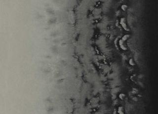 Фото - Обои Clarke&Clarke Fusion Wallpaper - 554226>