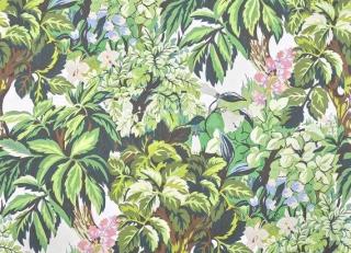 Фото - Обои Pierre Frey Jardins Secrets Wallpapers - 617429>