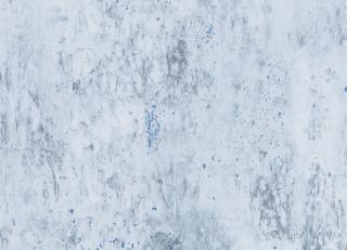 Фото - Обои Designers Guild Jardin Des Plantes - 320750>