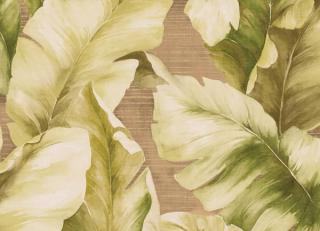 Фото - Обои Studio Eight Trinidad - 454779>