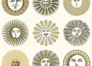 Фото - Обои Cole & Son Fornasetti Senza Tempo II - 626671>