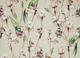 Фото - Ткани Alessandro Bini Iris - 568310>