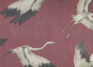 Фото - Обои для стен Carlucci - 577894>