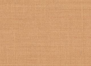 Фото - Обои Dedar Toile Bache - 557742>