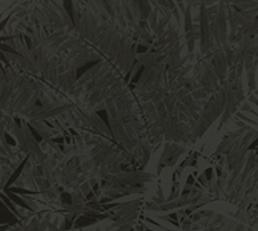 Фото - Обои Christian Lacroix Belles Rives - 200666>