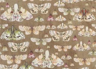 Фото - Обои Designers Guild Jardin Des Plantes - 320736>