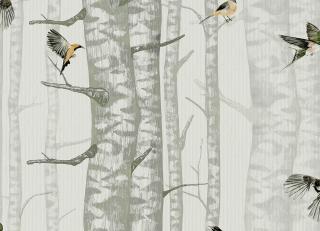 Фото - Обои Coordonne Naturae - 559390>