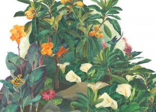 Фото - Обои Mr Perswall Urban Nature - 235274>