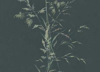 Фото - Обои Eijffinger Waterfront - 526550>